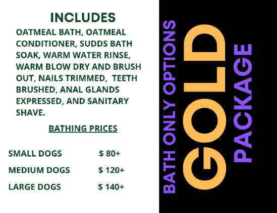 Dog Grooming Scottsdale