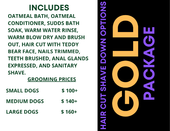 Pet Grooming Scottsdale