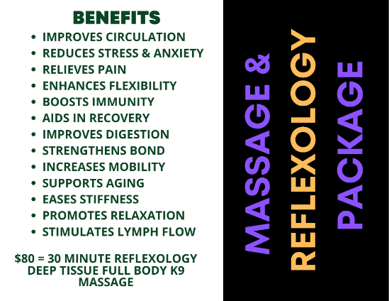 Dog Massage Scottsdale